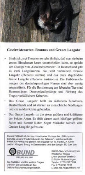 Faltblatt 'Die Langohren' (Seite 6)